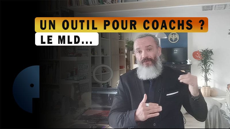 Le MLD, outil pour coach - Facing Europacorp - Dominique Molle