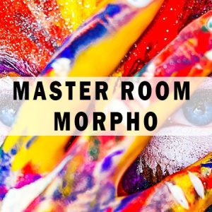 MASTER ROOM MORPHO - morphopsychologie - Facing Psychologie - Dominique Molle
