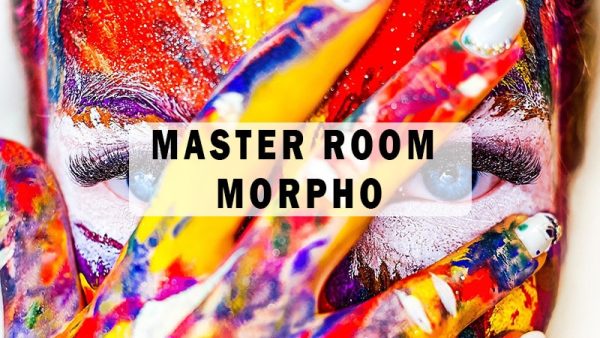 MASTER ROOM MORPHO - morphopsychologie - Facing Psychologie - Dominique Molle