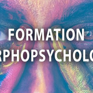 Formation Morphopsychologie Facing - Facing Morphopsychologie - Dominique Molle - RS