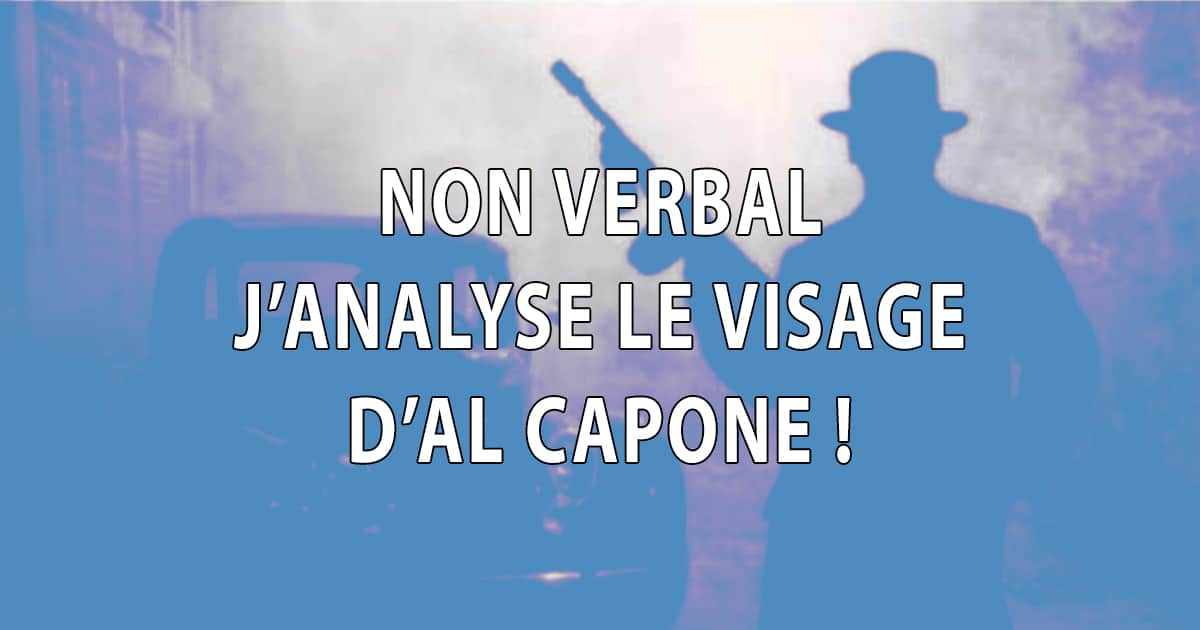 J'analyse le visage d' Al Capone - Dominique Molle - Facing Morphopsychologie - Blog