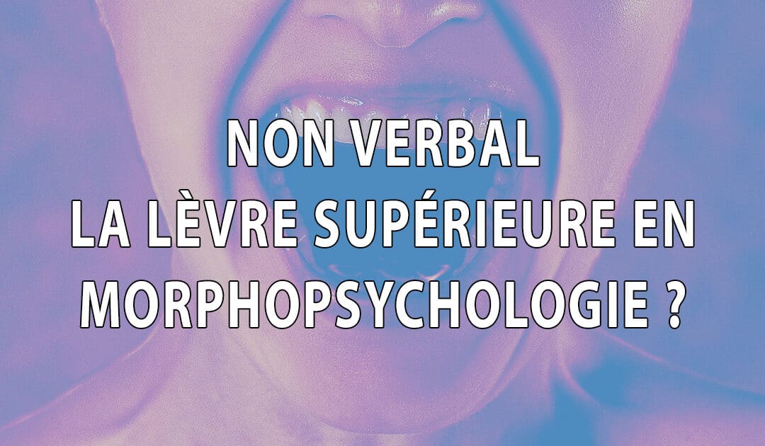 Non verbal : La lèvre supérieure (Morphopsychologie)