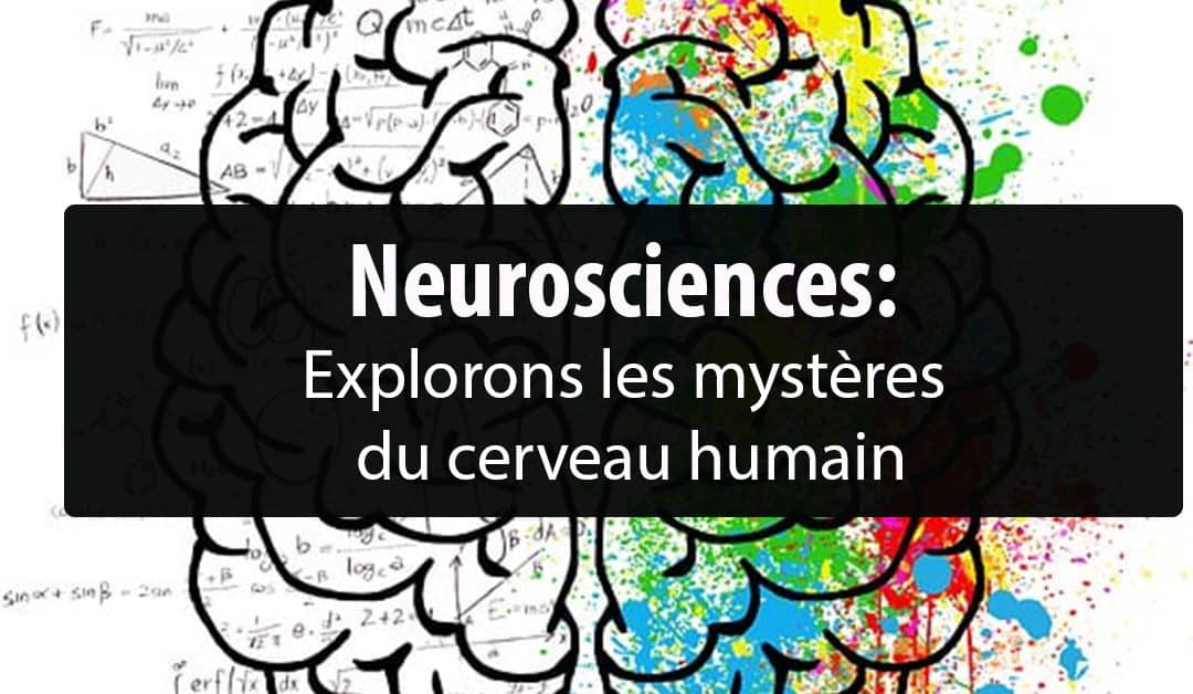Neurosciences: Explorons les mystères du cerveau humain