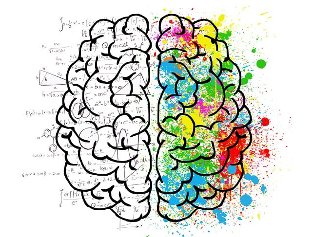 Neurosciences Explorons les mystères du cerveau humain - Facing Morphopsychologie - Dominique Molle - Le cerveau
