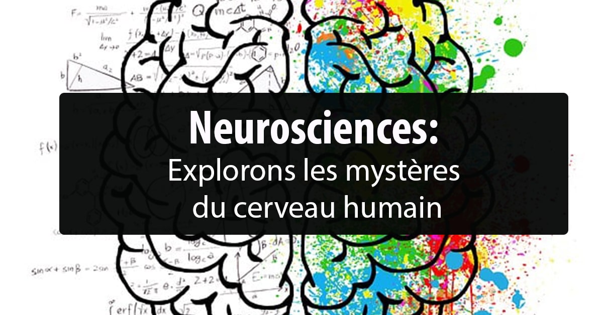 Neurosciences Explorons les mystères du cerveau humain - Facing Morphopsychologie - Dominique Molle
