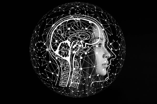 Pourquoi les sciences humaines méritent d'être valorisées autant que l'intelligence artificielle - Dominique Molle - Facing Morphopsychologie - 1