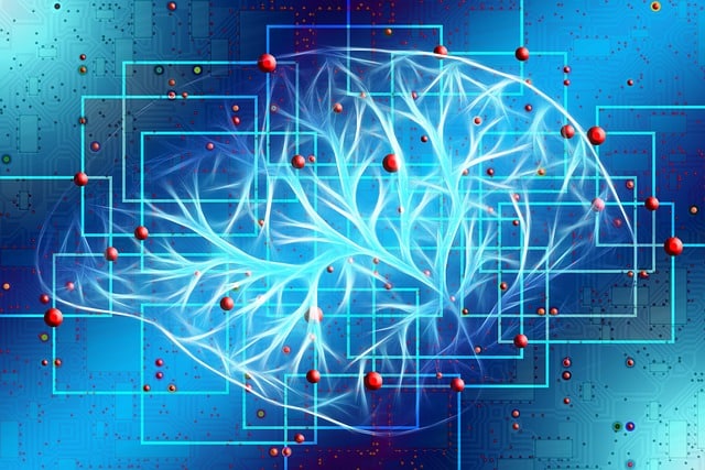 La morphopsychologie dans Fight Club comment repérer la puissance physique inconsciente - Dominique Molle - Facing Morphopsychologie - Les neurosciences